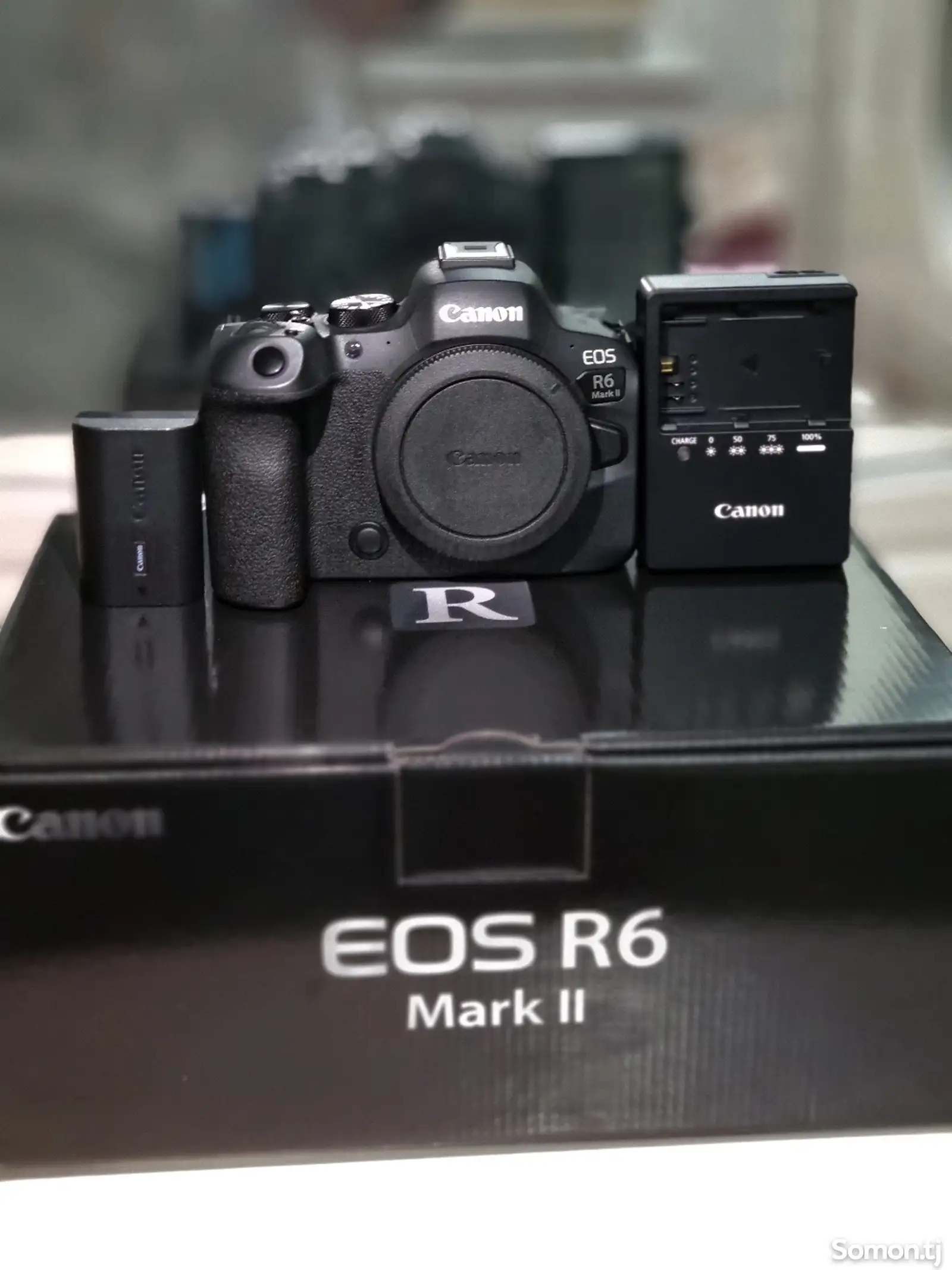 Видеокамера Canon R6 mark ll-1