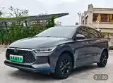 BYD E2, 2019-4