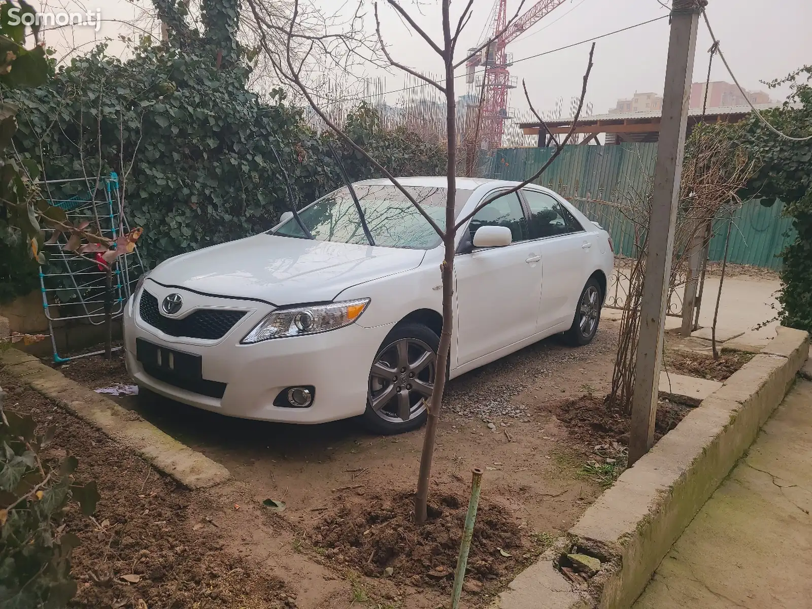 Toyota Camry, 2010-1