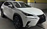 Lexus NX series, 2021-3