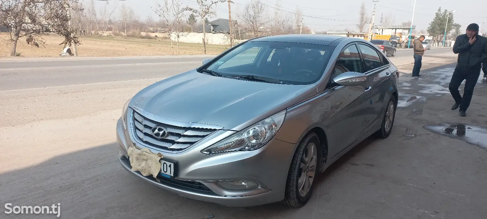 Hyundai Sonata, 2010-1