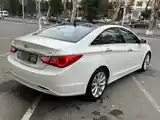 Hyundai Sonata, 2010-8