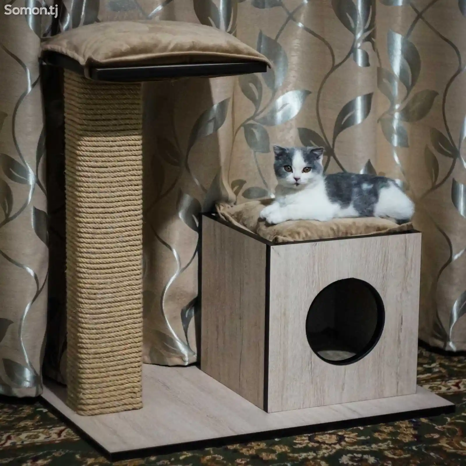 Когтеточка и домик для кошек-2