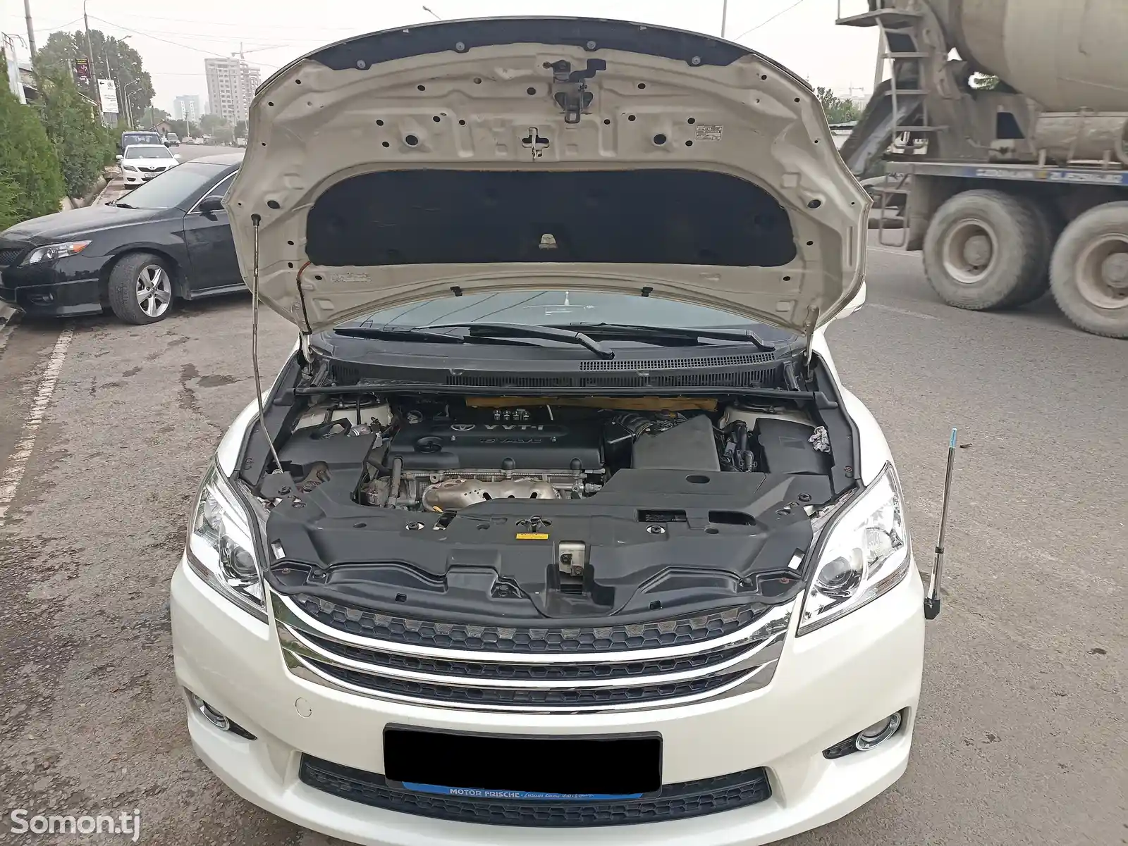 Toyota Mark X ZiO, 2010-6