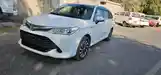 Toyota Fielder, 2017-5