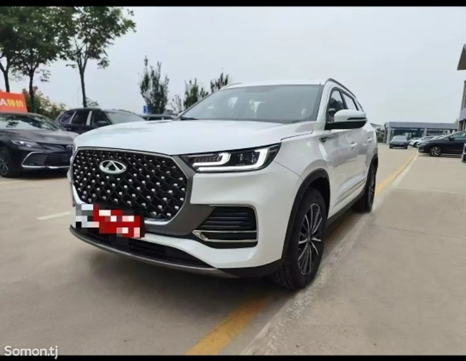 BYD Другие модели, 2024-1