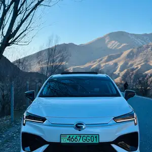 BYD Другие модели, 2024