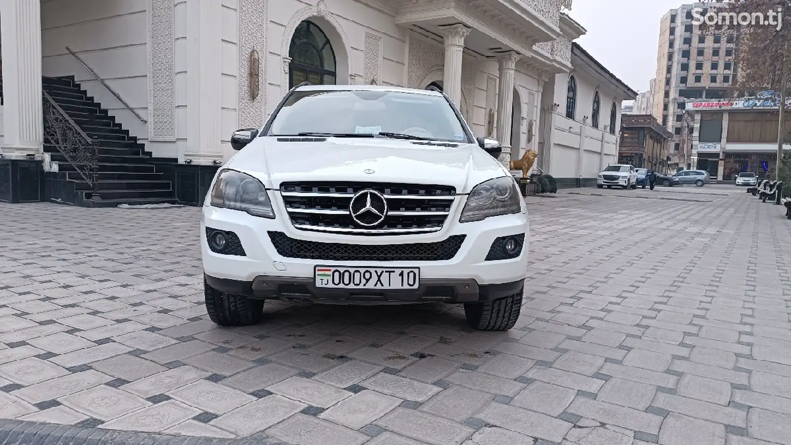 Mercedes-Benz ML class, 2010-1