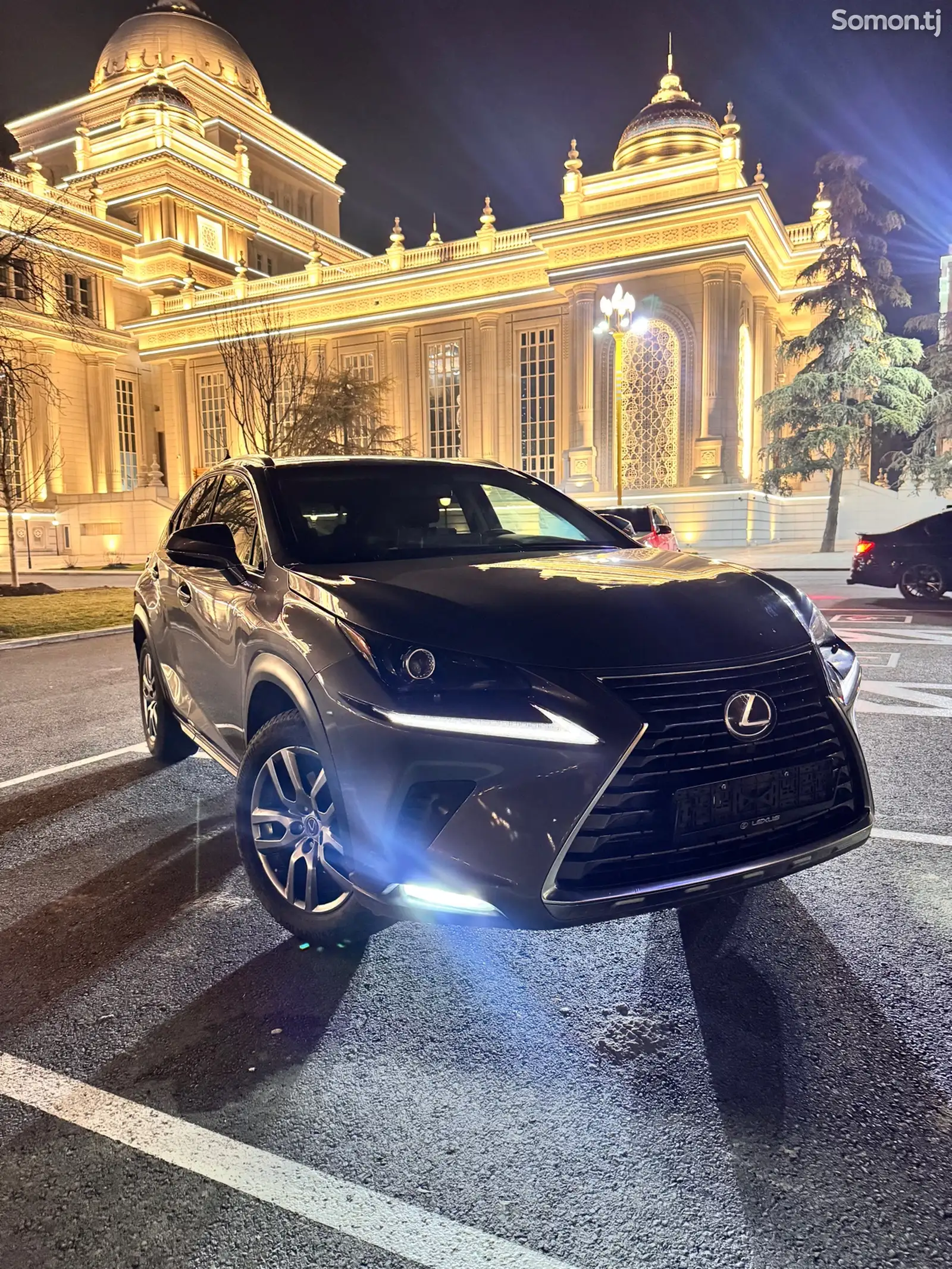 Lexus NX series, 2019-1