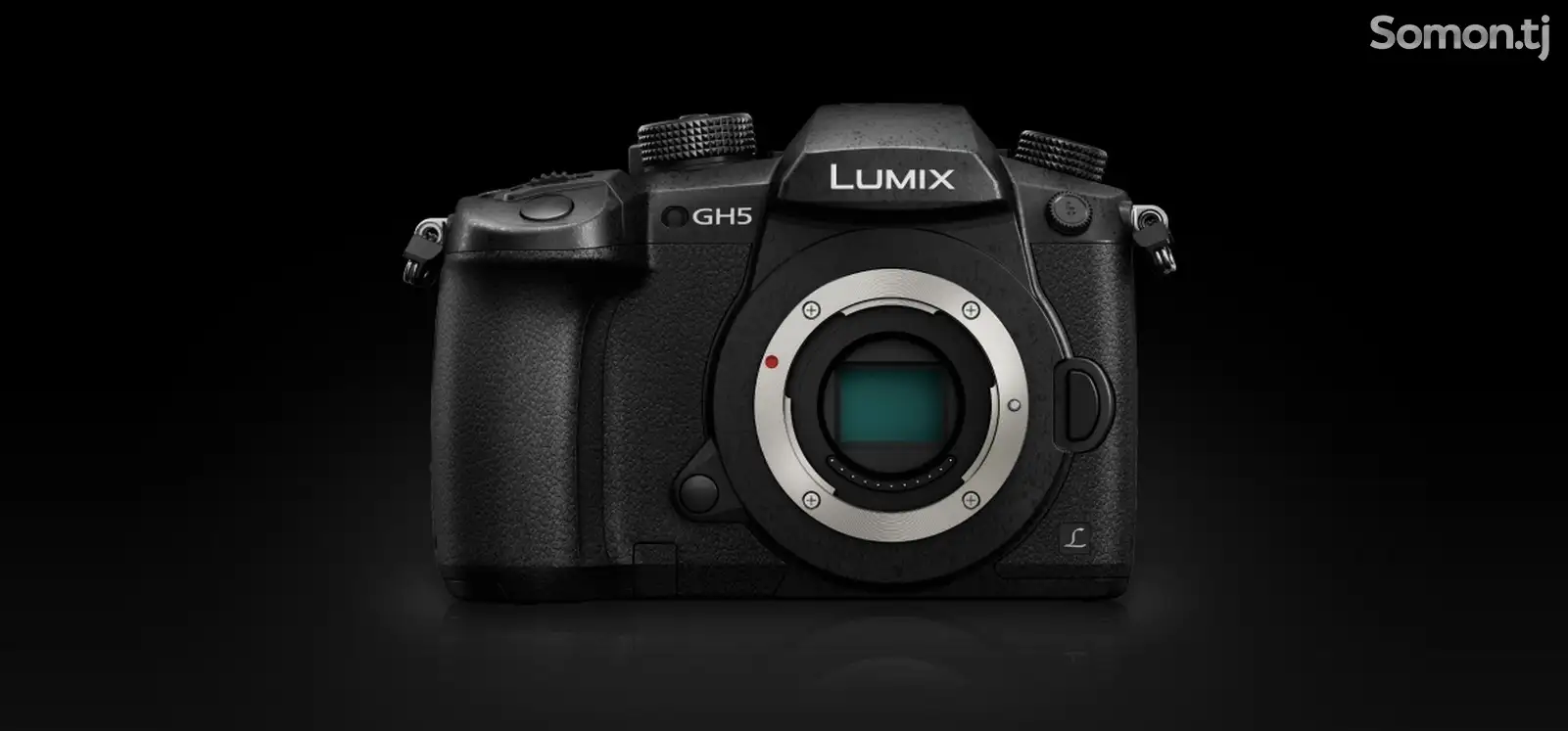 Фотоаппарат Panasonic Lumix DC-GH5