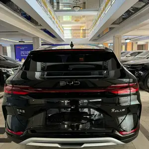 BYD Song Plus Flagship, 2024