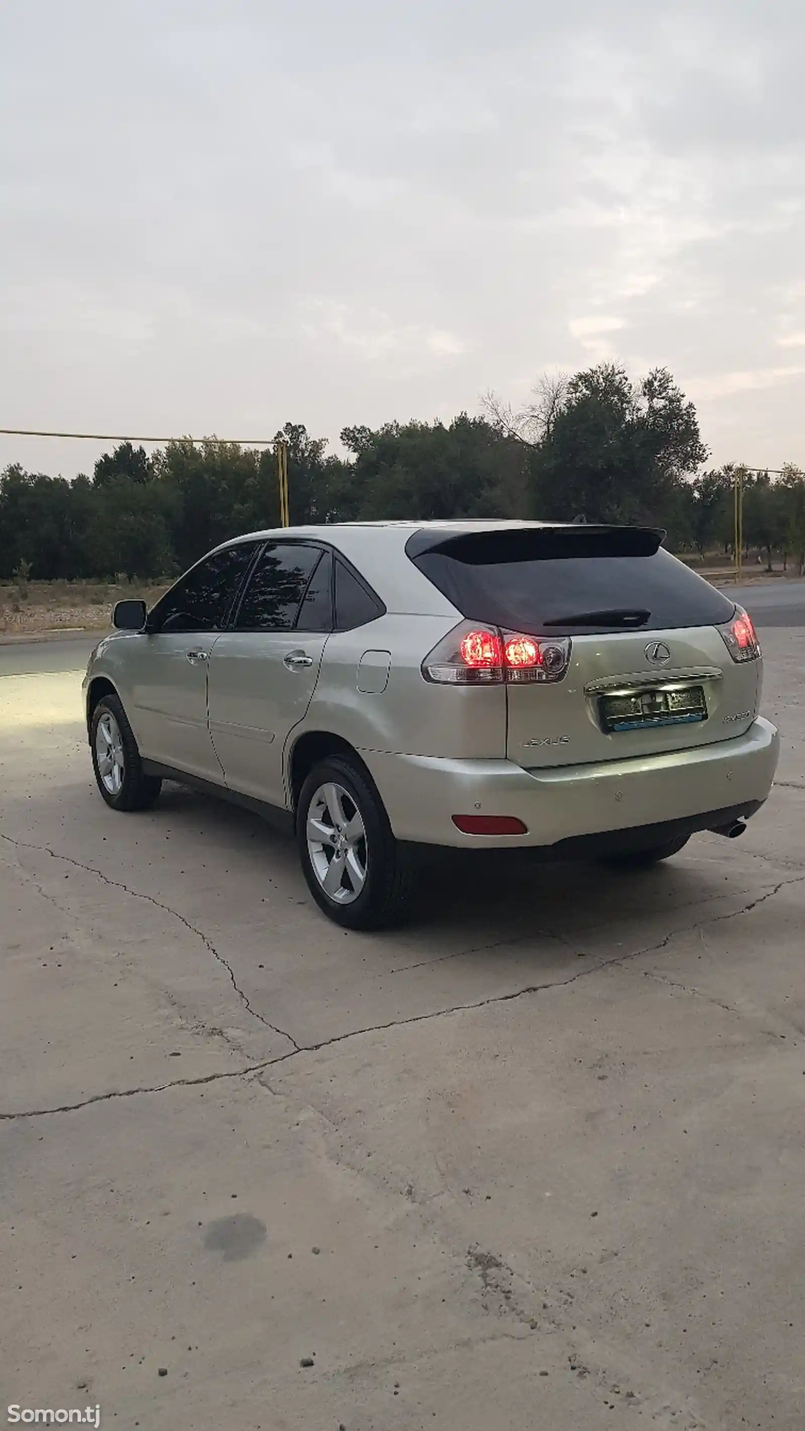 Lexus RX series, 2008-6