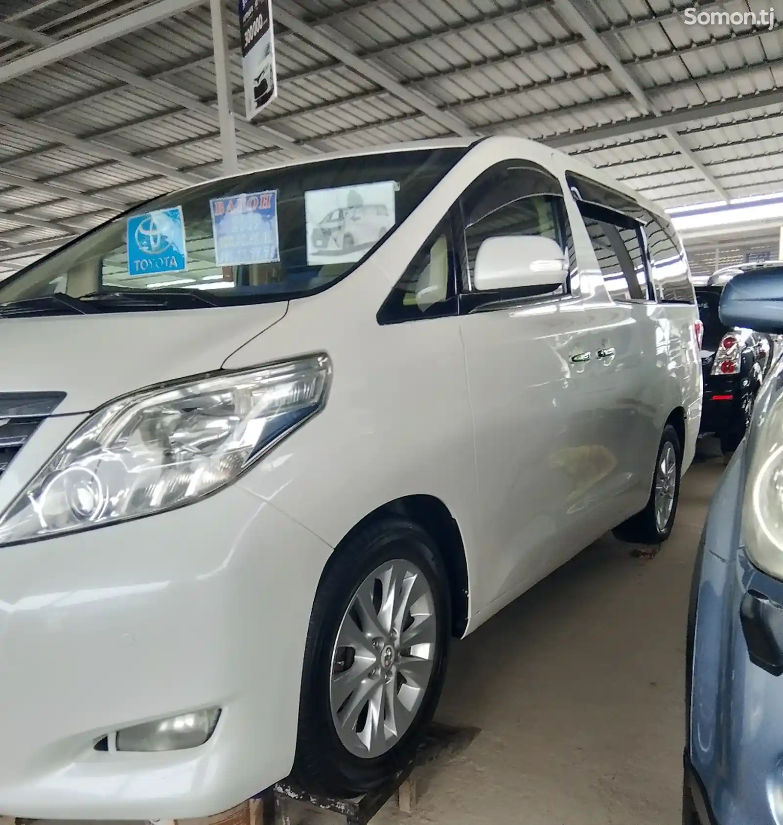 Toyota Alphard, 2009-4