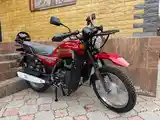 Мотоцикл GLX-Suzuki 200cc куба-8