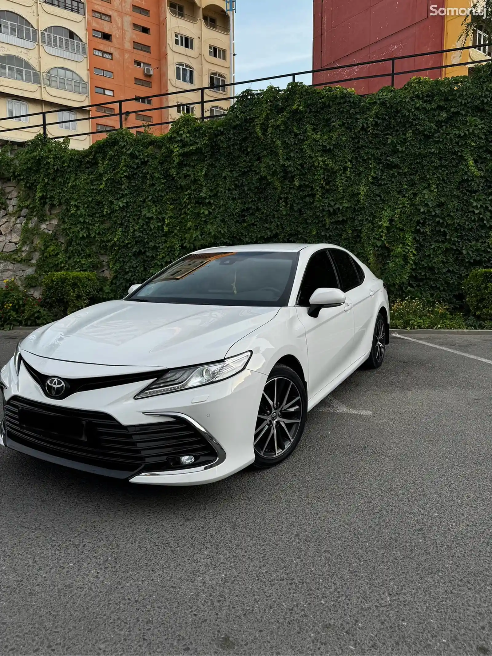 Toyota Camry, 2022-2