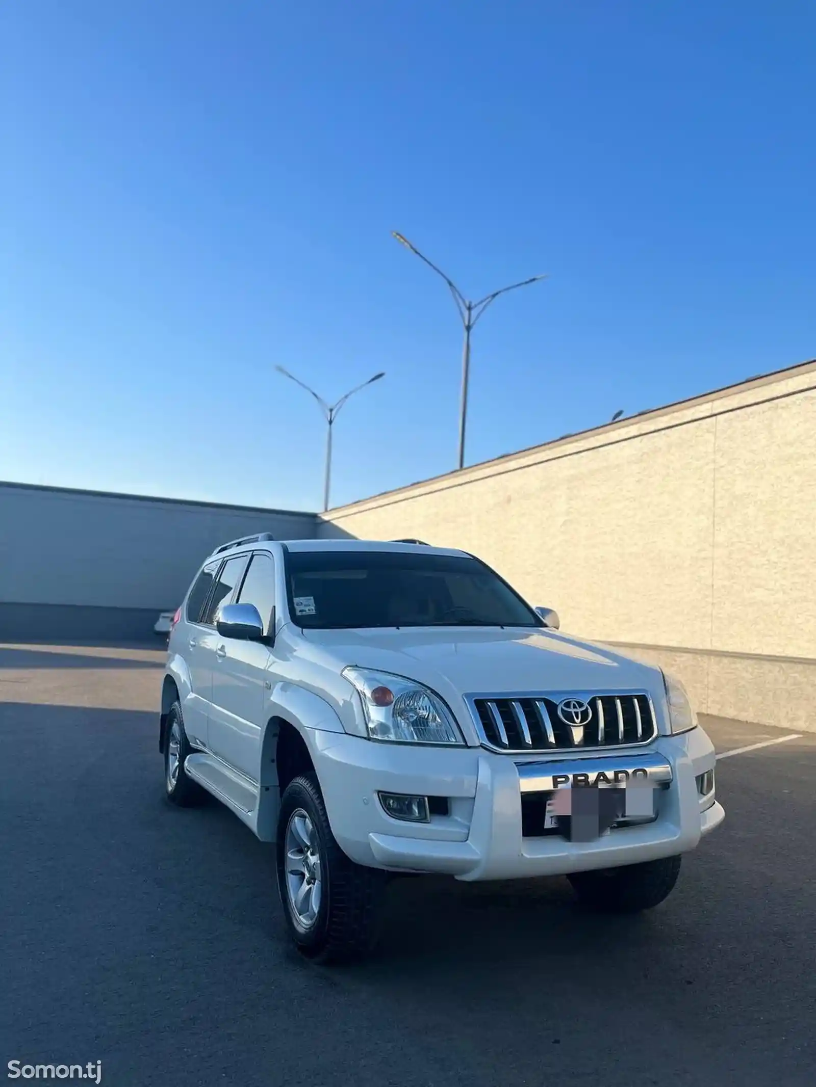 Toyota Land Cruiser Prado, 2009-3