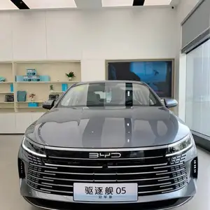 BYD Destroyer, 2024