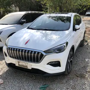 Hongqi E-HS9, 2019