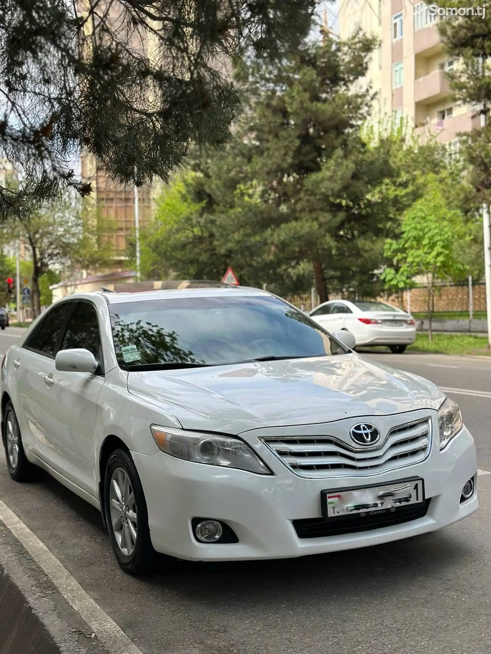 Toyota Camry, 2010-1