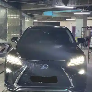 Lexus RX series, 2019