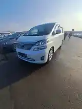 Toyota Vellfire, 2009-5