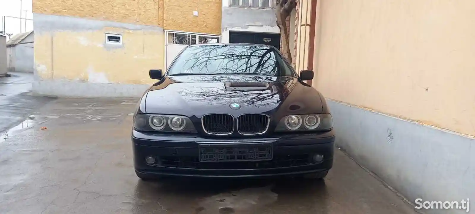 BMW 5 series, 2000-8