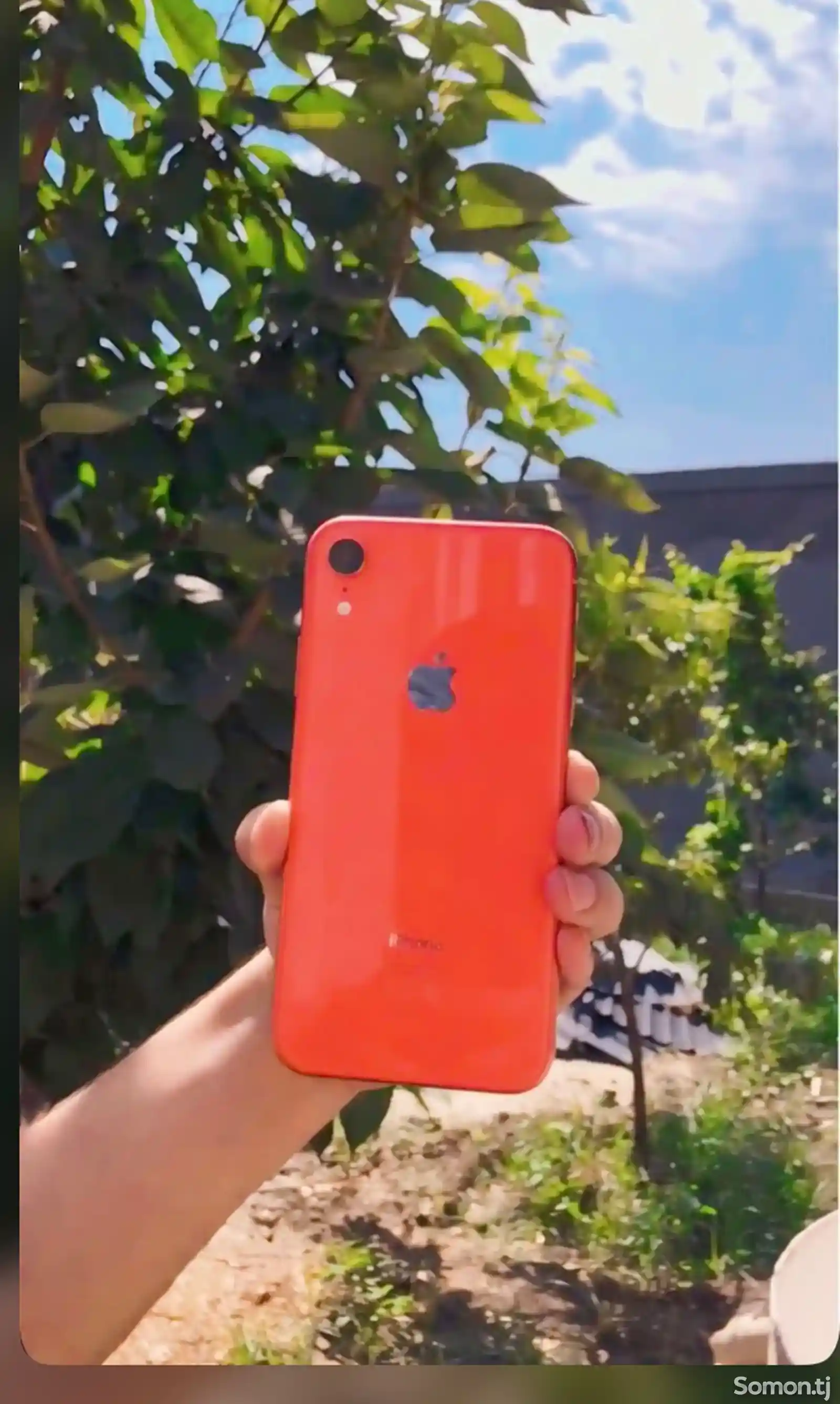 Apple iPhone Xr, 64 gb, Product Red-2