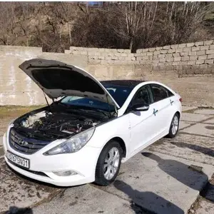 Hyundai Sonata, 2010