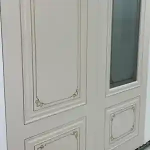 Дверь Эмалированная