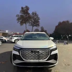 Audi Q4, 2024