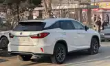 Lexus RX series, 2019-6