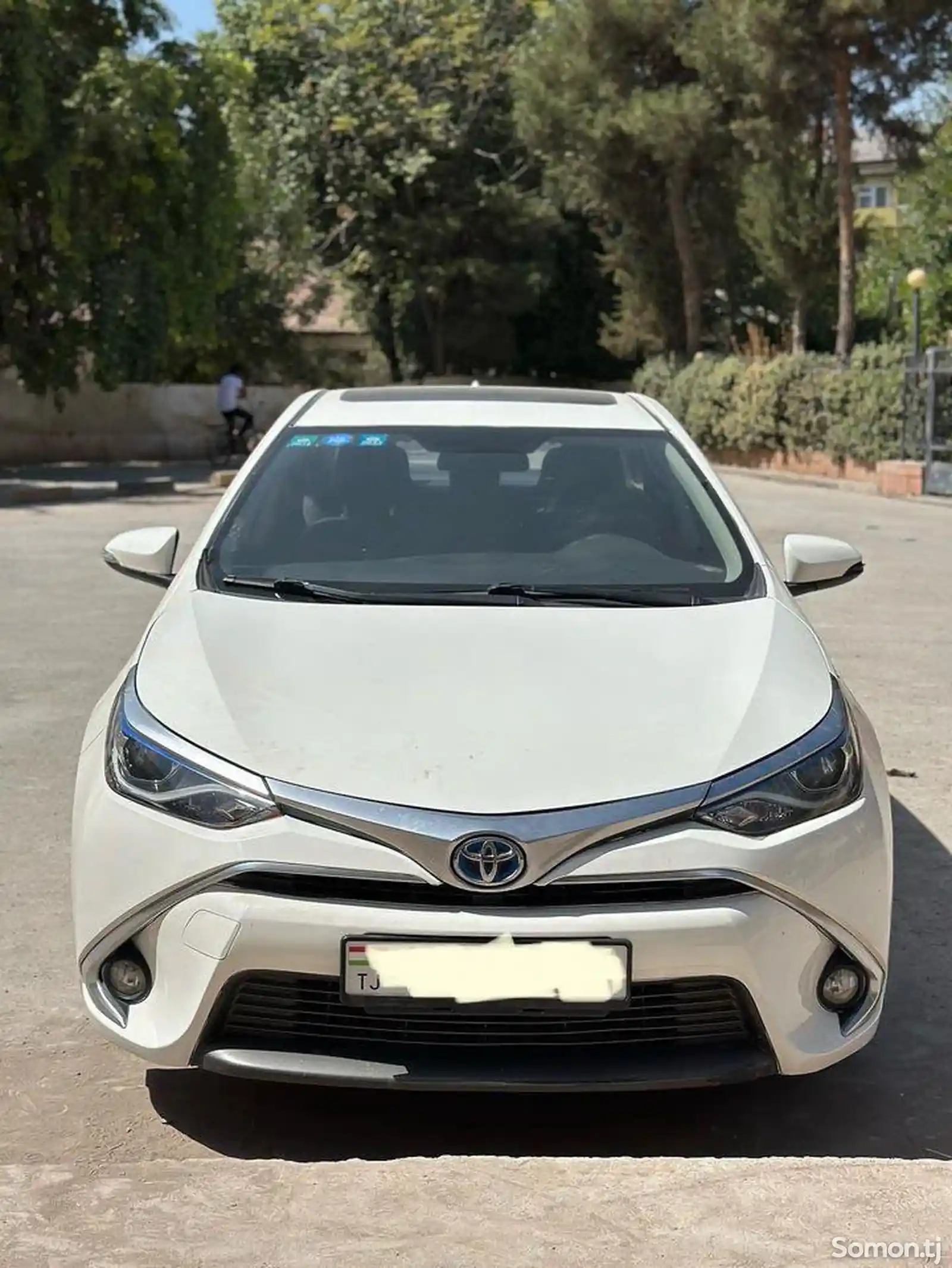 Toyota Corolla, 2019-1