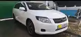 Toyota Fielder, 2007-3