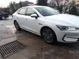 BYD Qin Plus, 2024-10