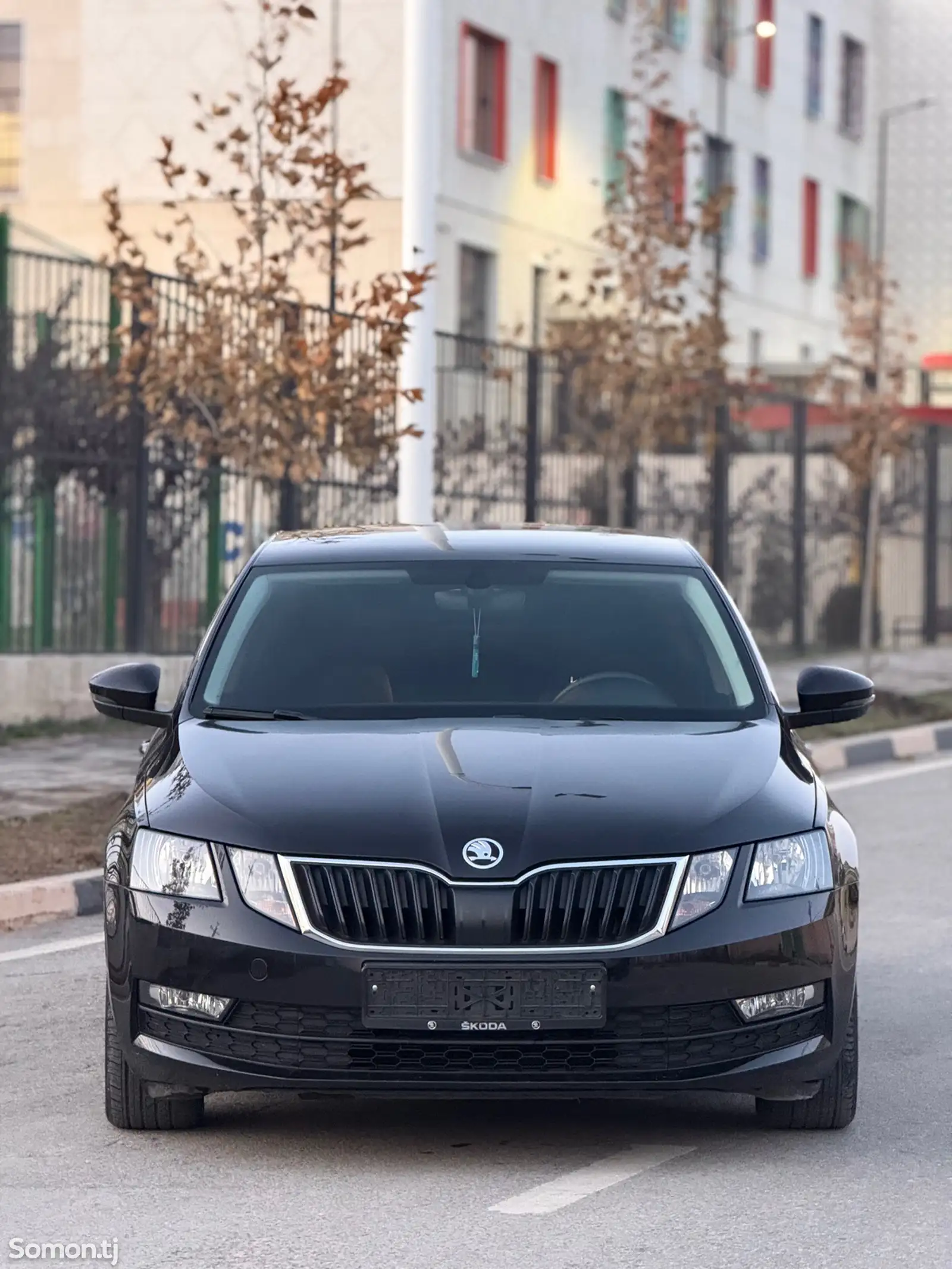 Skoda Octavia, 2019-1