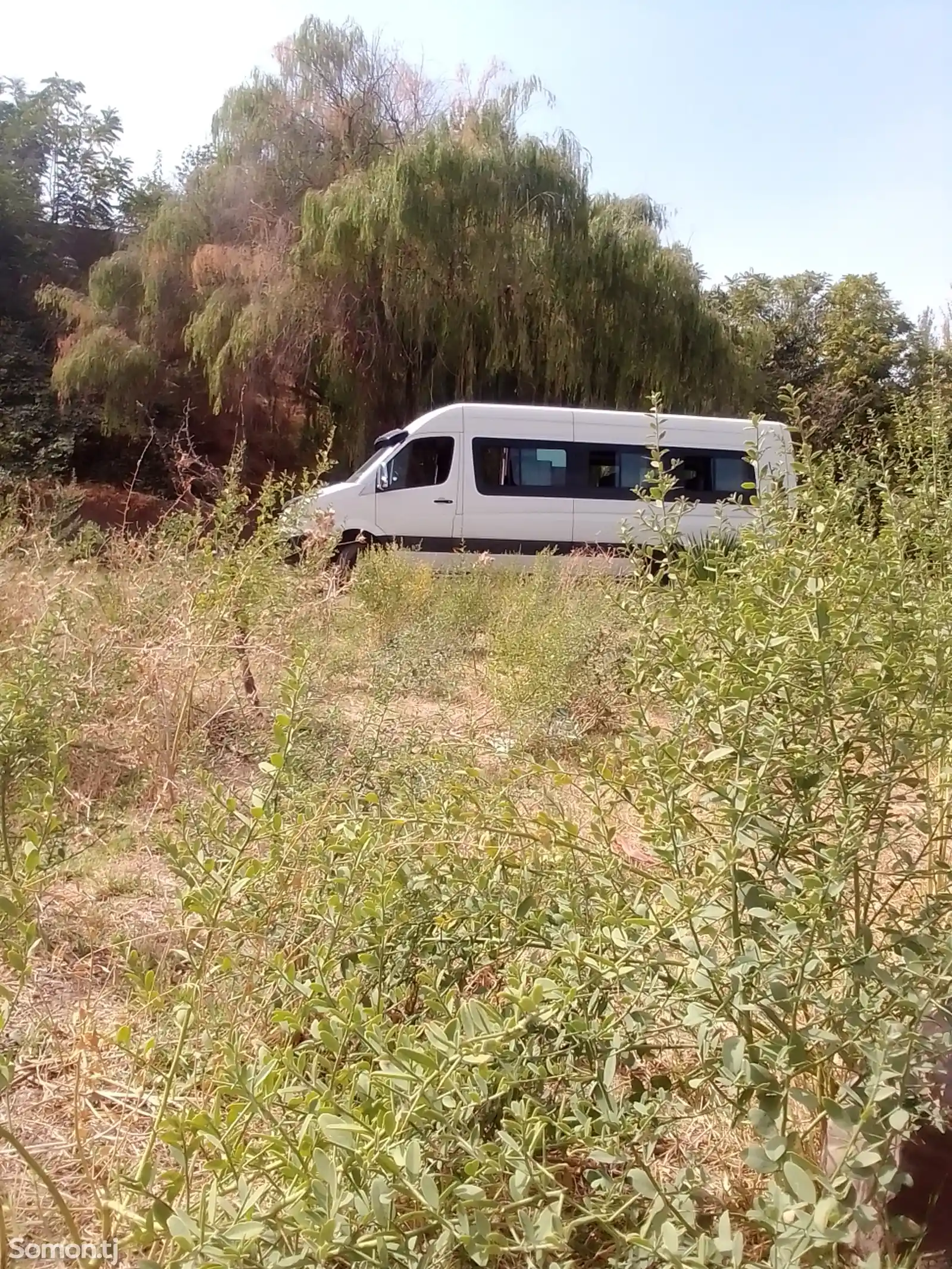 Услуги перевозки пассажиров на Mercedes-Benz Sprinter-4