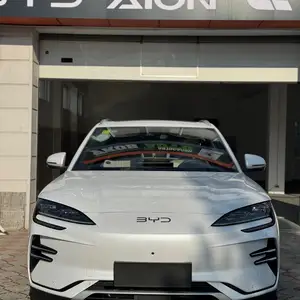 BYD Song Plus Flagship, 2024