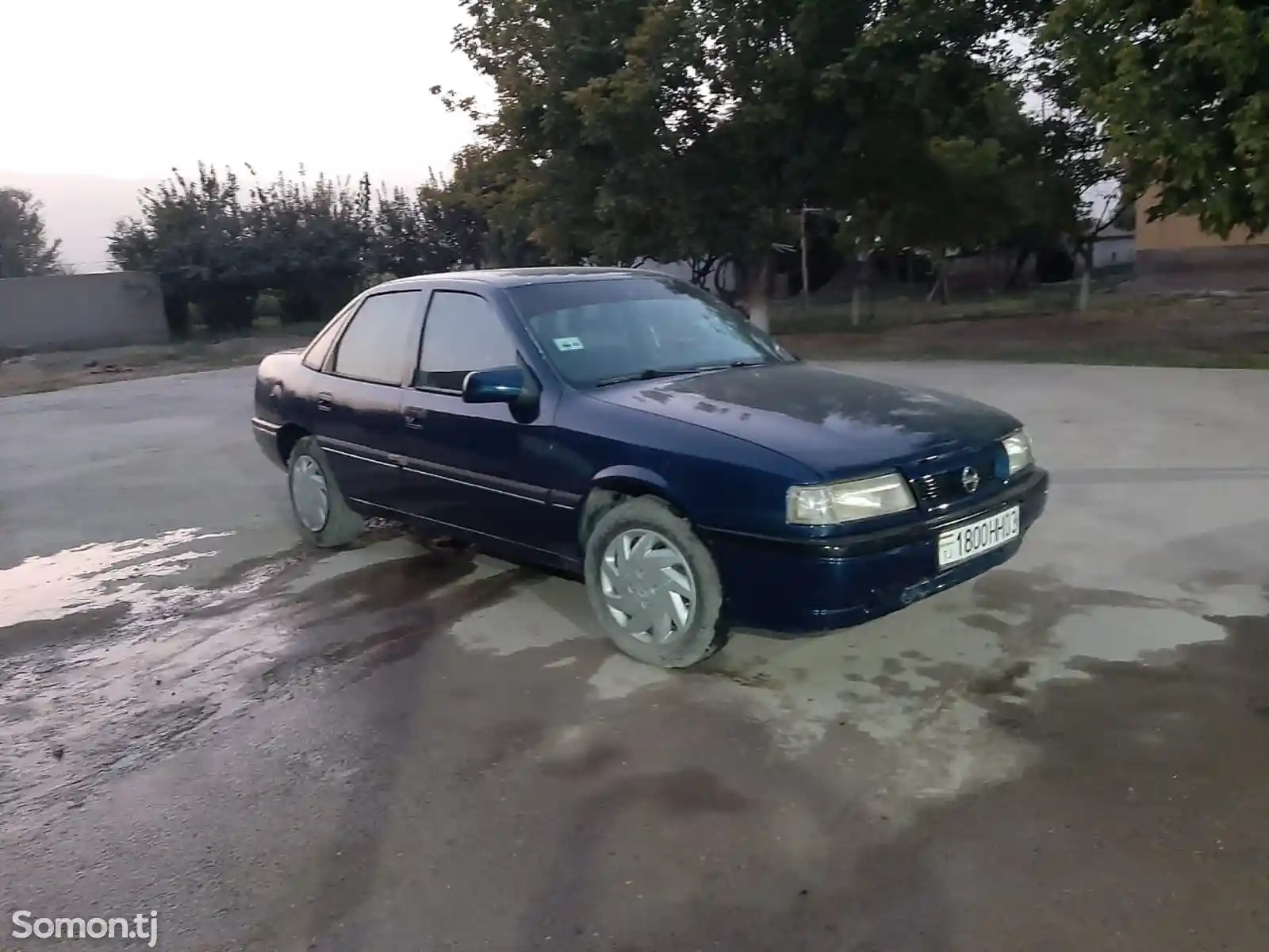 Opel Vectra A, 1989-3