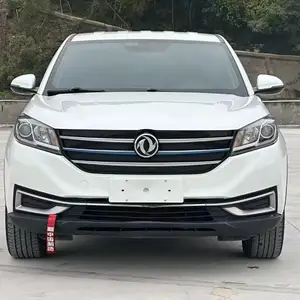 Dongfeng Landian E5, 2020