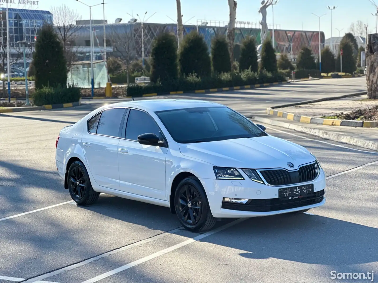 Skoda Octavia, 2019-1