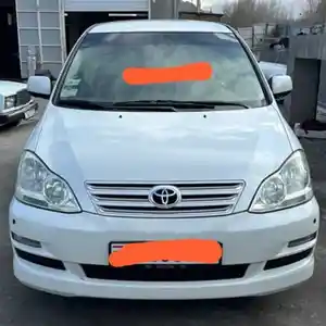 Лобовое стекло на Toyota Ipsum