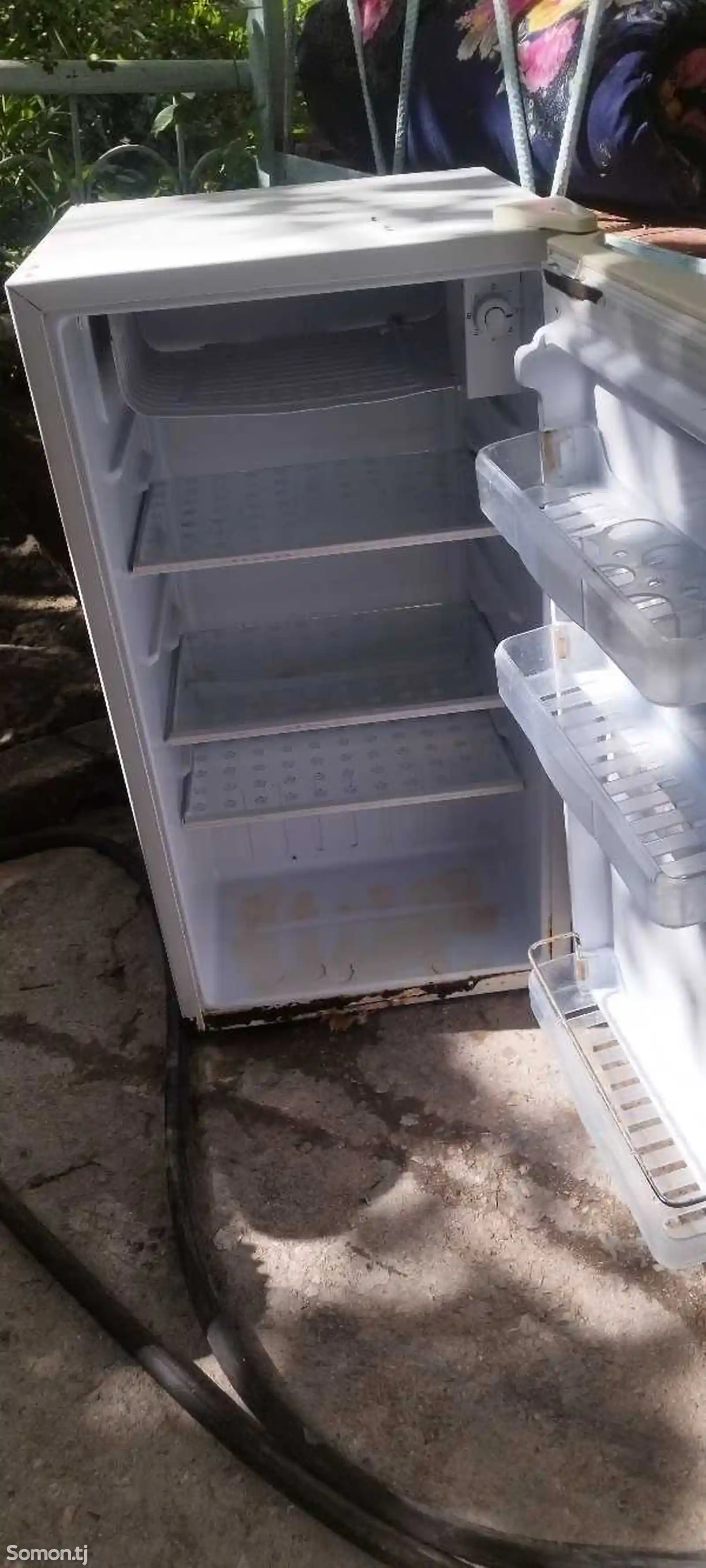 Холодильник Fischer-2