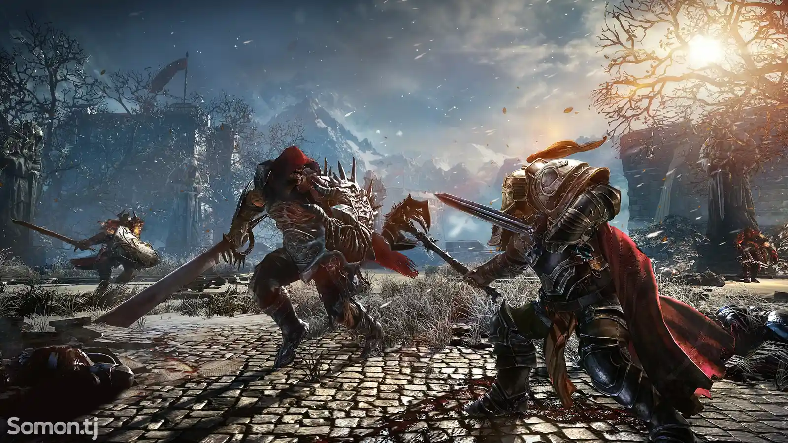 Игра Lords Of The Fallen-8
