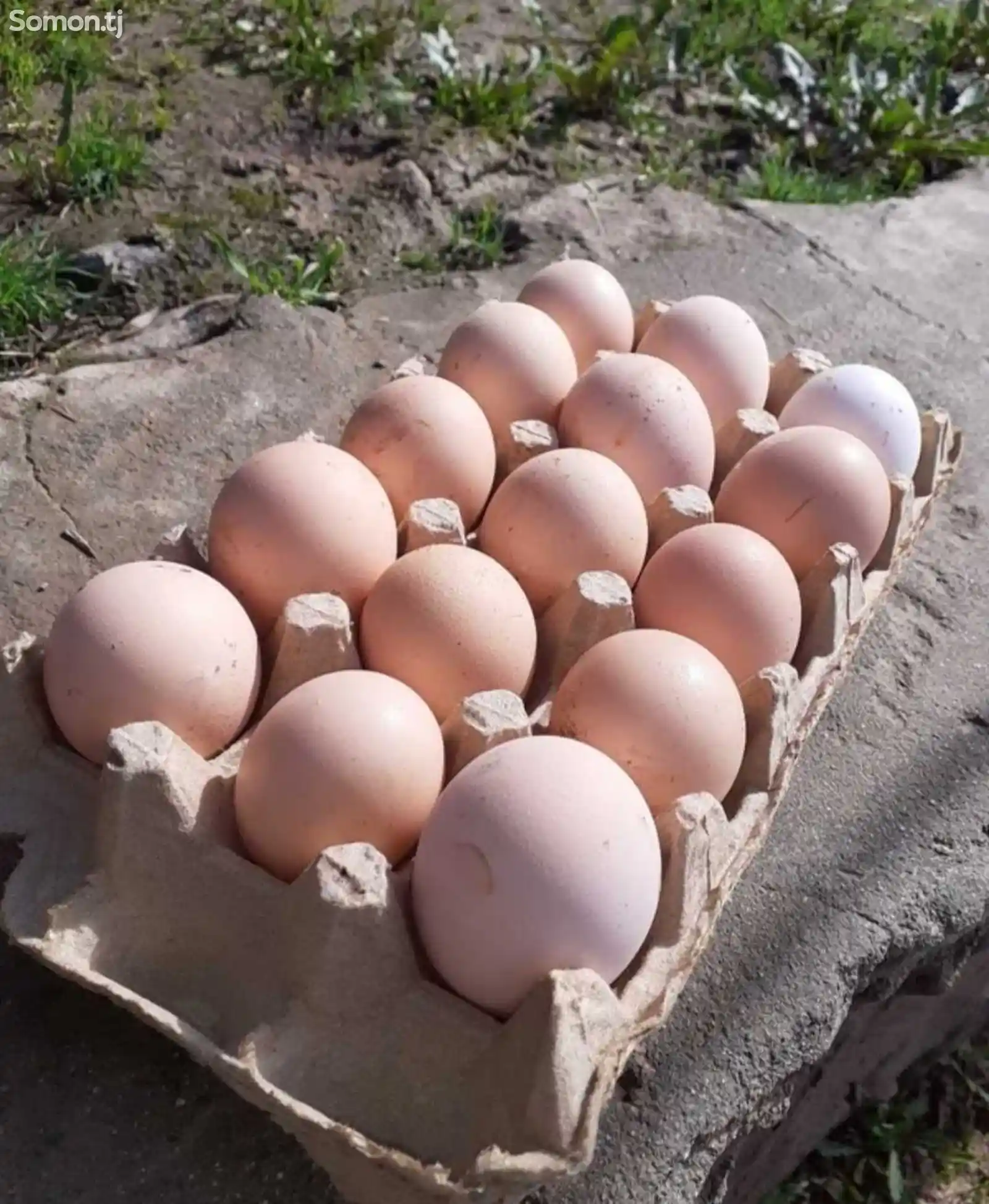 Яйца для инкубации-1