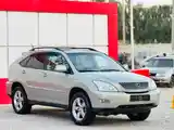 Lexus RX series, 2005-3