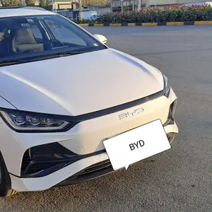 BYD E2, 2024