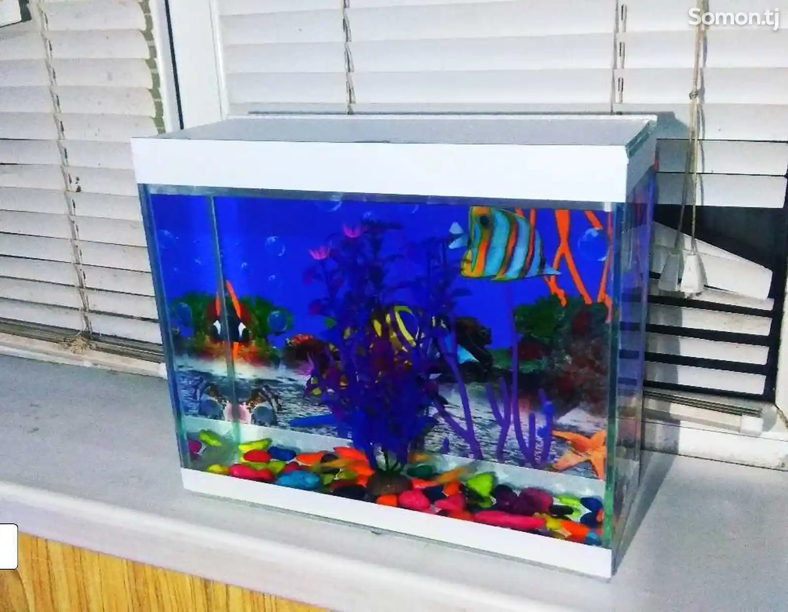 Подарочный мини аквариум 6л с рыбками-2