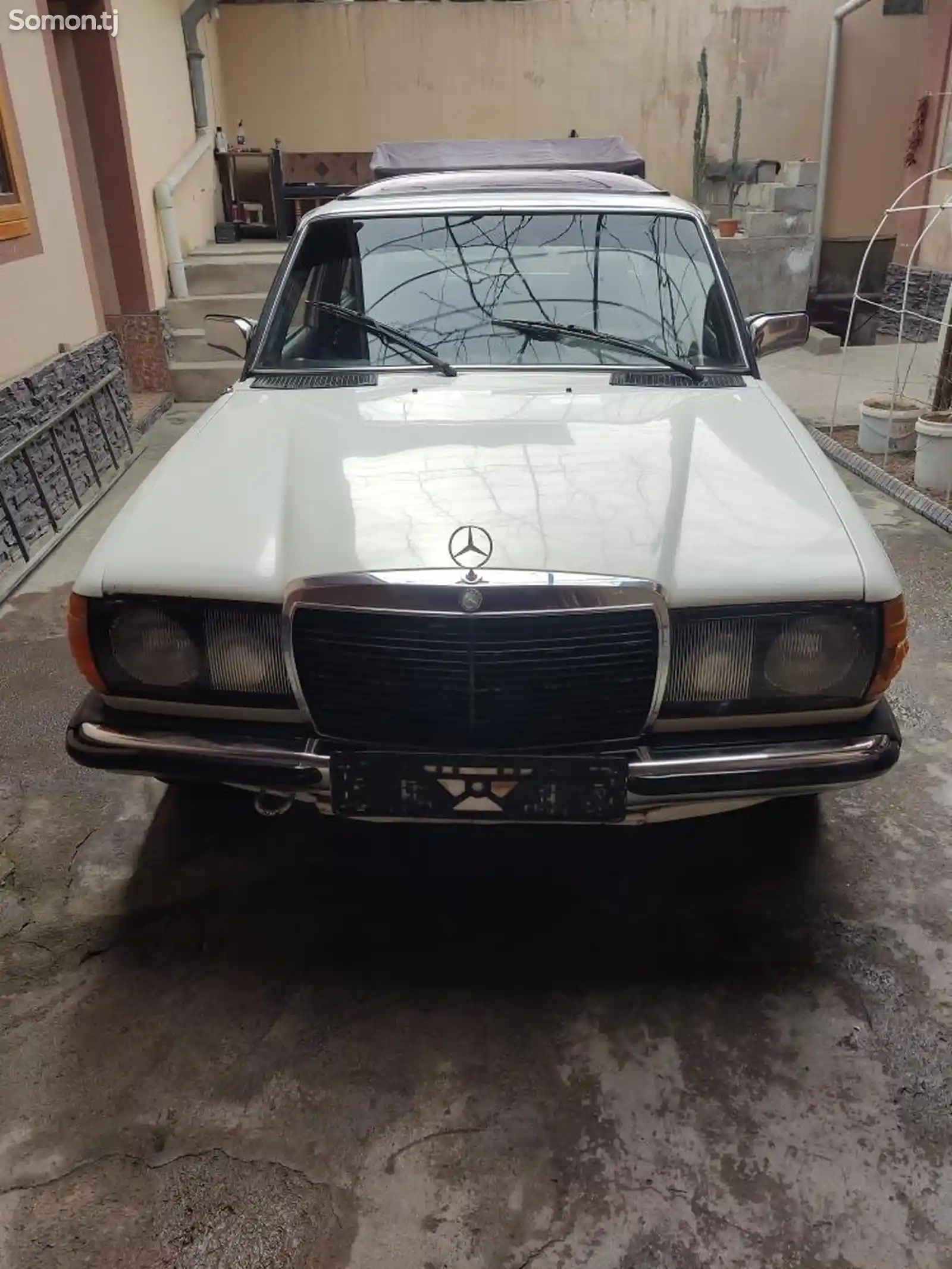 Mercedes-Benz W123, 1982-1