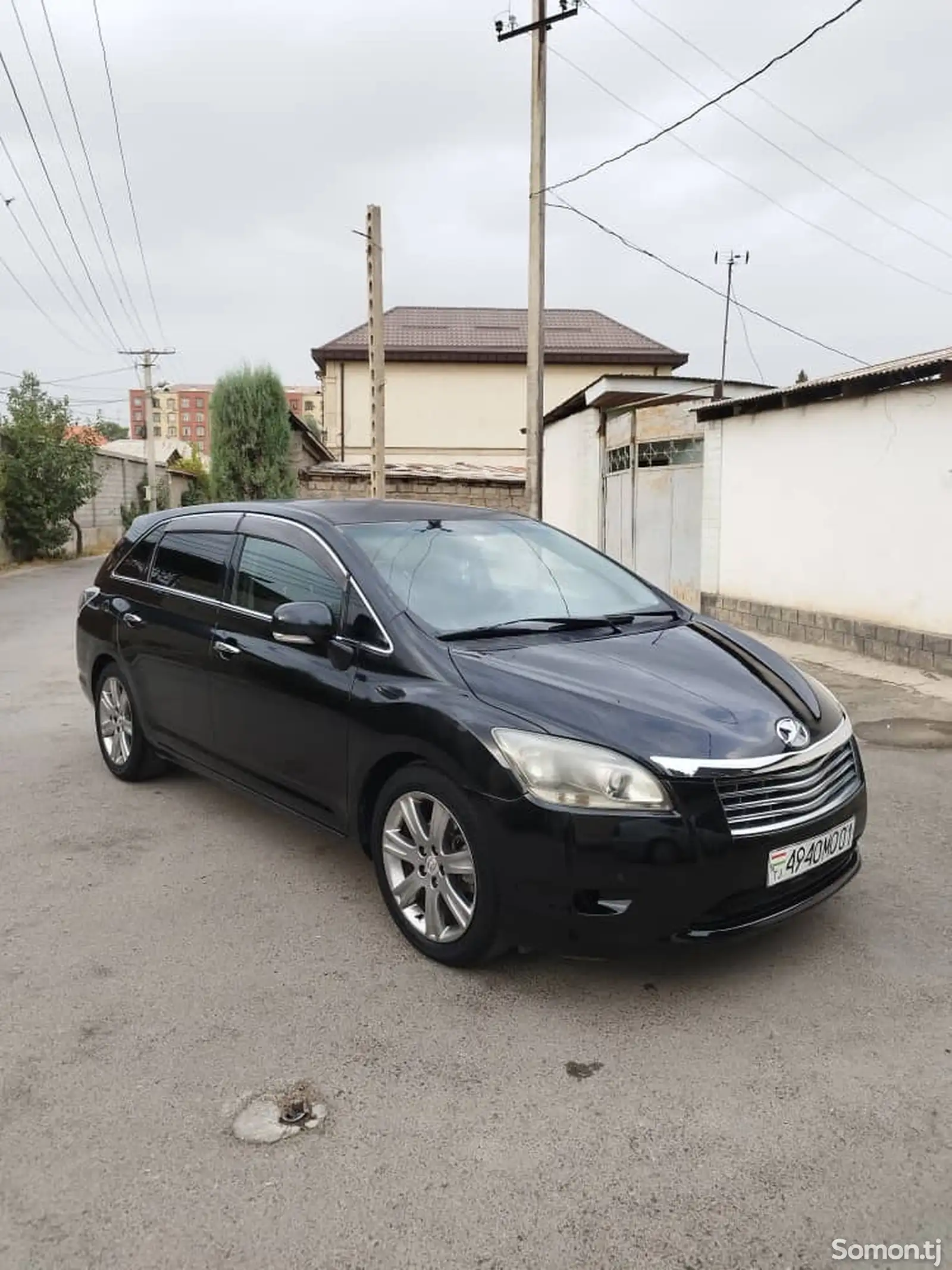 Toyota Mark X ZiO, 2008-1