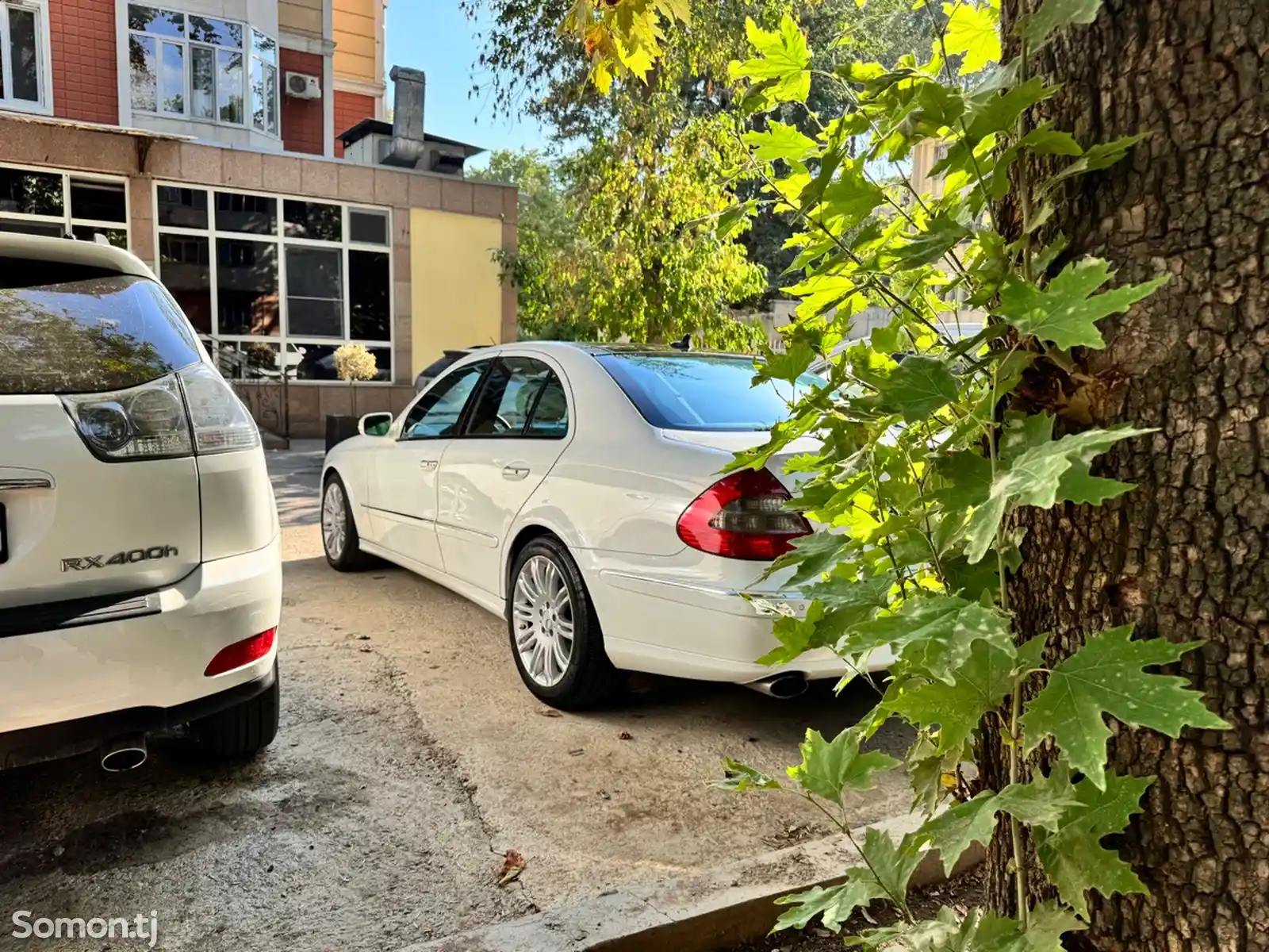 Mercedes-Benz E class, 2007-7